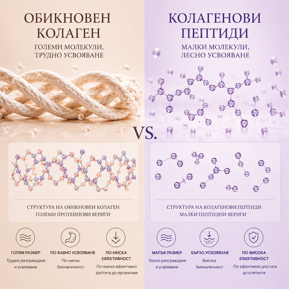 Обикновен колаген срещу хидролизиран (пептиден) колаген – каква е разликата?