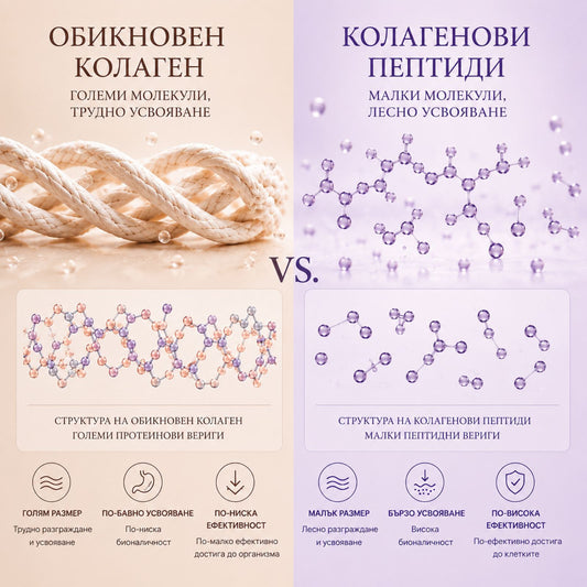 Обикновен колаген срещу хидролизиран (пептиден) колаген – каква е разликата?